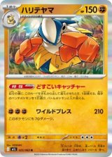 画像: 【M1L】ハリテヤマ【R】