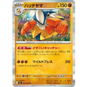 画像: 【M1L】ハリテヤマ【R】