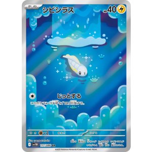 画像: 【sv11B】シビシラス【AR】