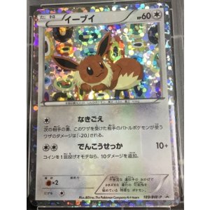 画像: イーブイ　「コレクションファイル イーブイコレクション」スペシャルカード