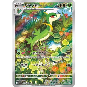 画像: 【sv11B】ジャノビー【AR】