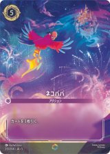 画像: ネコババ【エンチャンテッド】