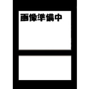画像: レッドアイズ・ブラックドラゴン (NIKEコラボ版）　未開封