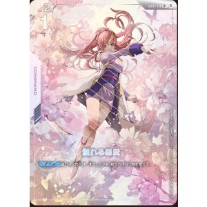 画像: 【PSA10】【β版】溢れる慈愛　ラクス・クライン柄【パラレル】