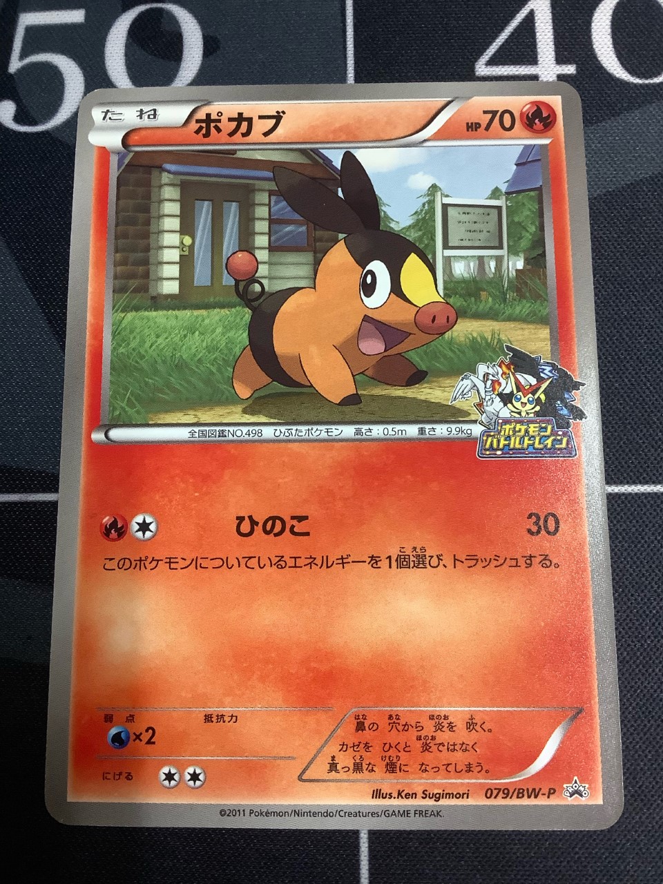 画像1: ポカブ　JR北海道ポケモン調査隊2011　バトルトレイン (1)
