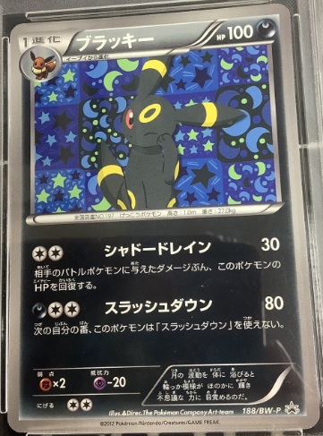 画像1: ブラッキー　 「コレクションファイル イーブイコレクション」スペシャルカード (1)
