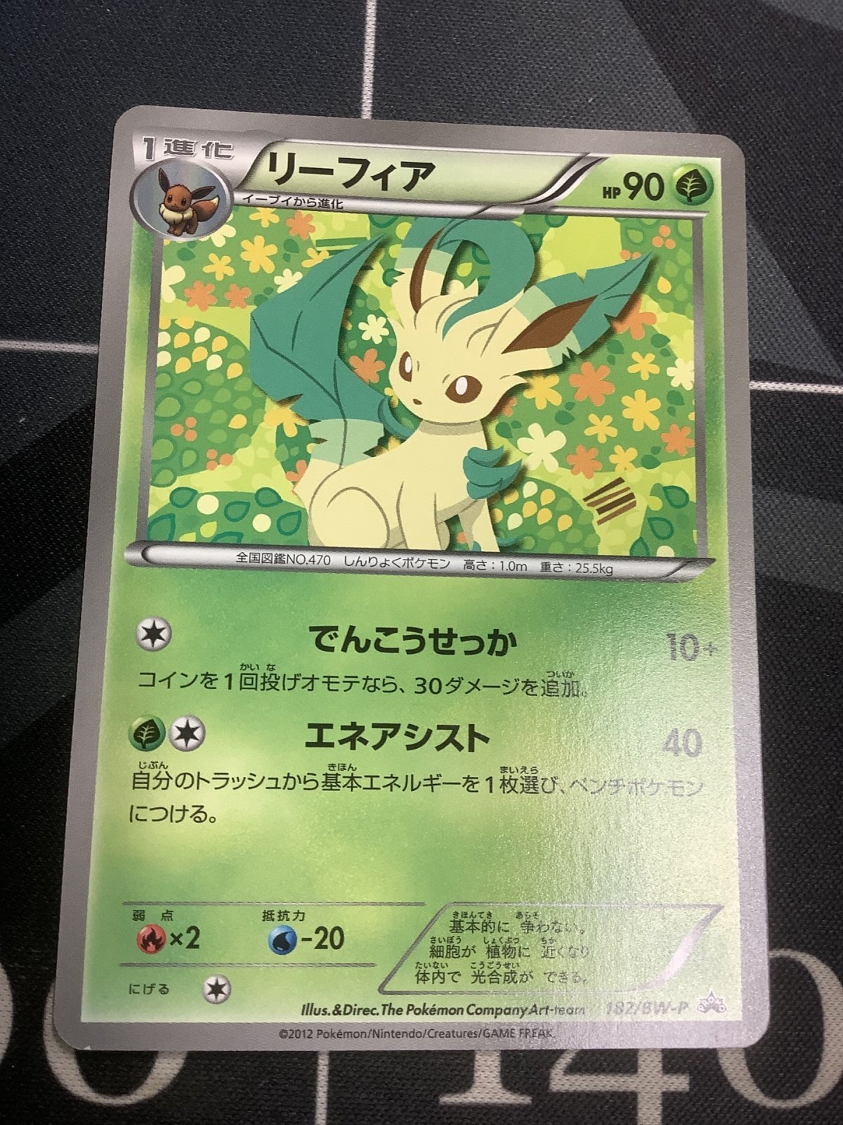 画像1: リーフィア　「コレクションファイルイーブイコレクション」スペシャルカード (1)